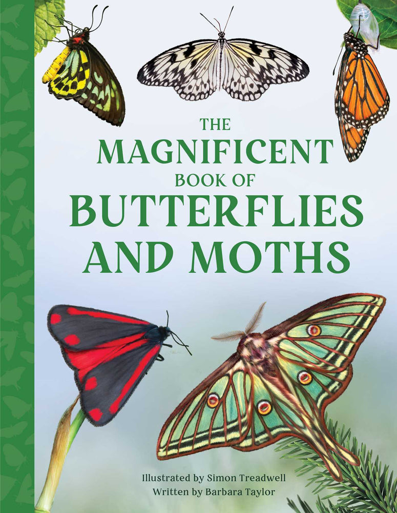 The Magnificent Book of Butterflies and Moths - Childrens Books - Image - Pop Weasel
