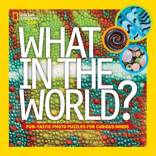 What in the World? | Hardcover image