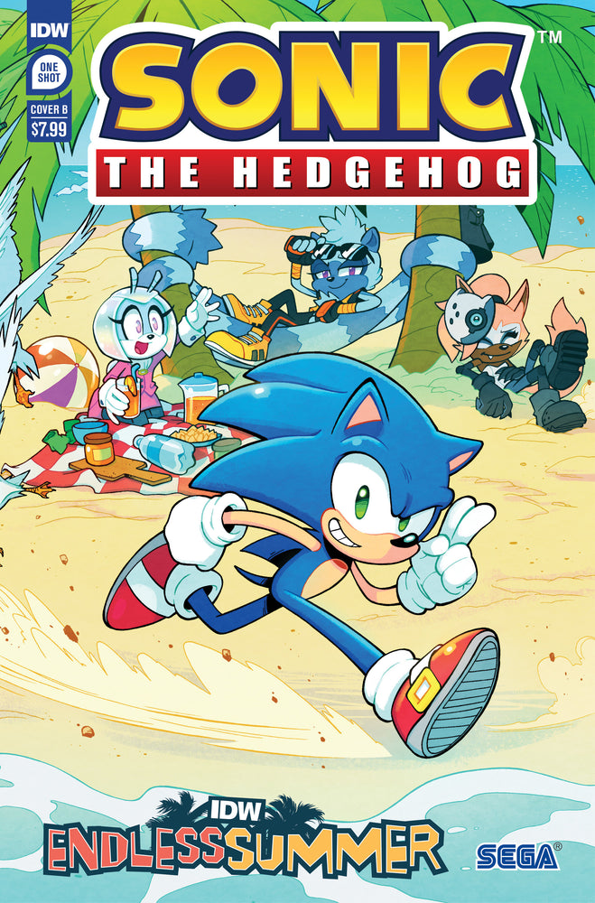IDW Endless Summer--Sonic the Hedgehog Variant B (Lawrence Connected Cover) - Comics - Image - Pop Weasel