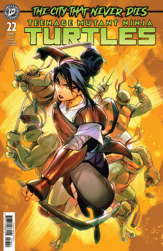 Teenage Mutant Ninja Turtles #22 Variant E (Andolfo)