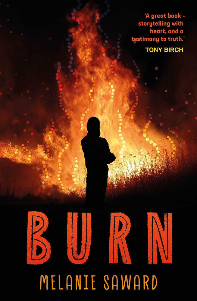 Burn - Books - Image - Pop Weasel