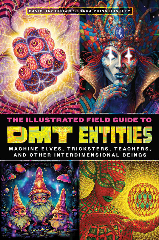 The Illustrated Field Guide to DMT Entities Machine Elves, Tricksters, Teachers, and Other Interdimensional Beings image