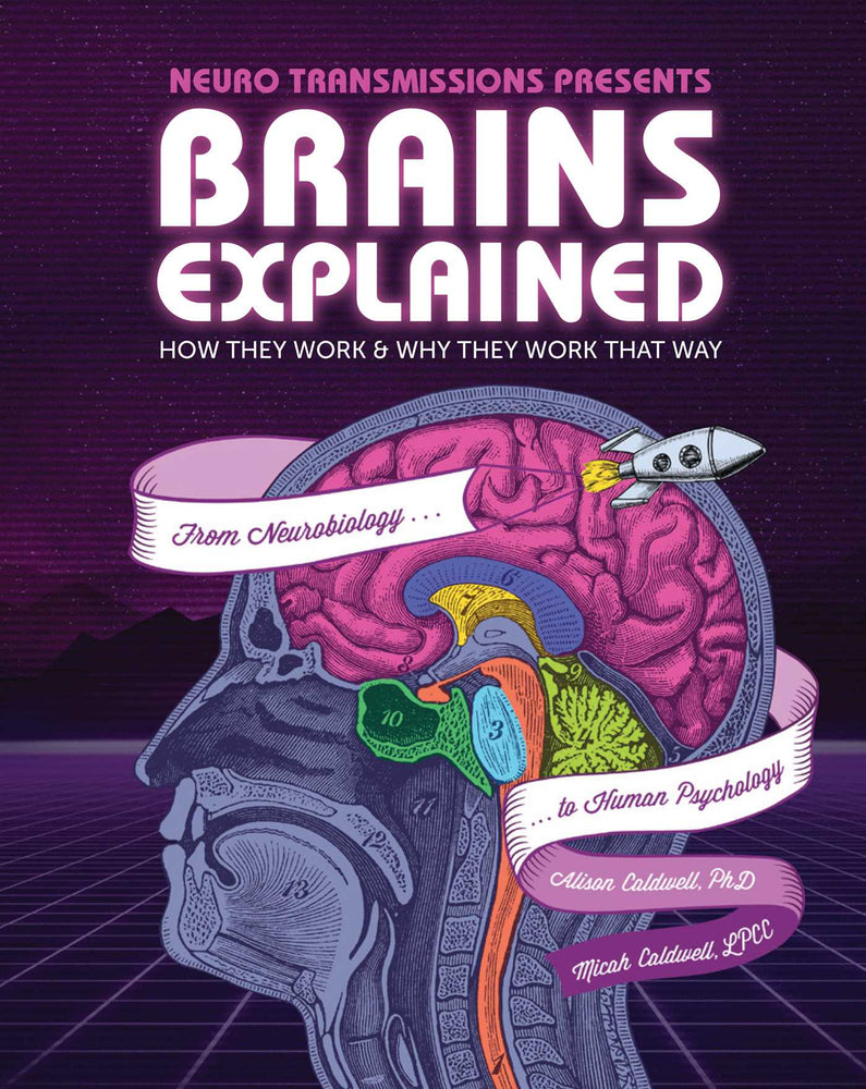 Brains Explained: How They Work & Why They Work That Way | STEM Learning about the Human Brain | Fun and Educational Facts about Human Body - Books - Image - Pop Weasel