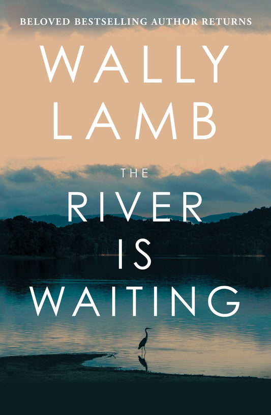 The River Is Waiting A Novel image