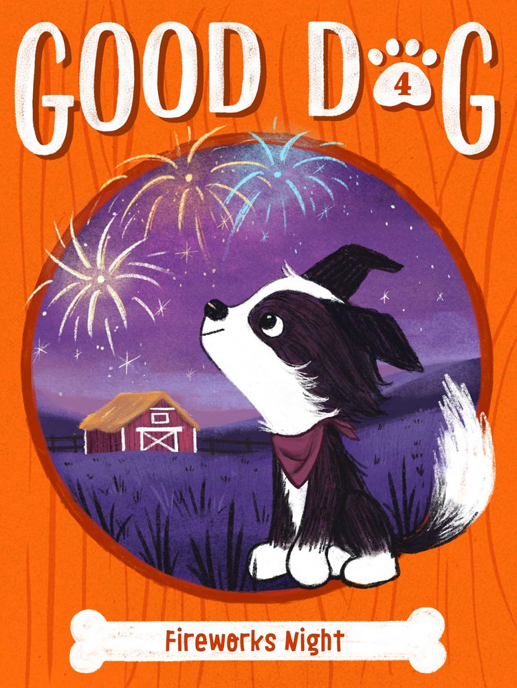 Fireworks Night - Childrens Books - Image - Pop Weasel