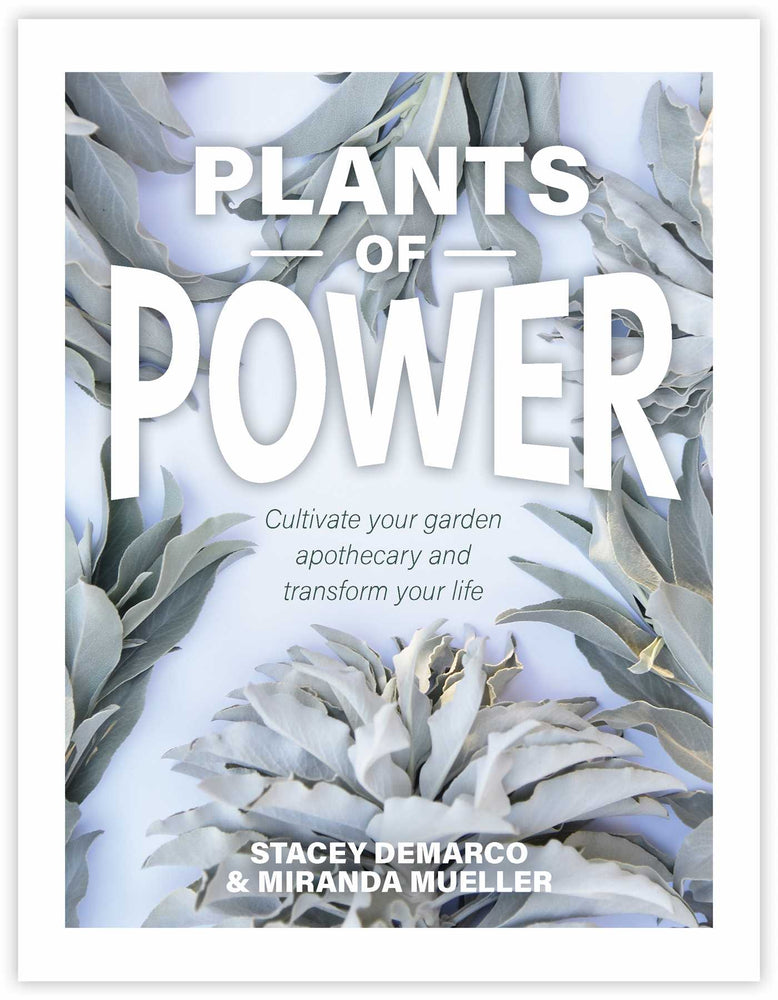 Plants of Power: Cultivate your garden apothecary and transform your life - Books - Image - Pop Weasel