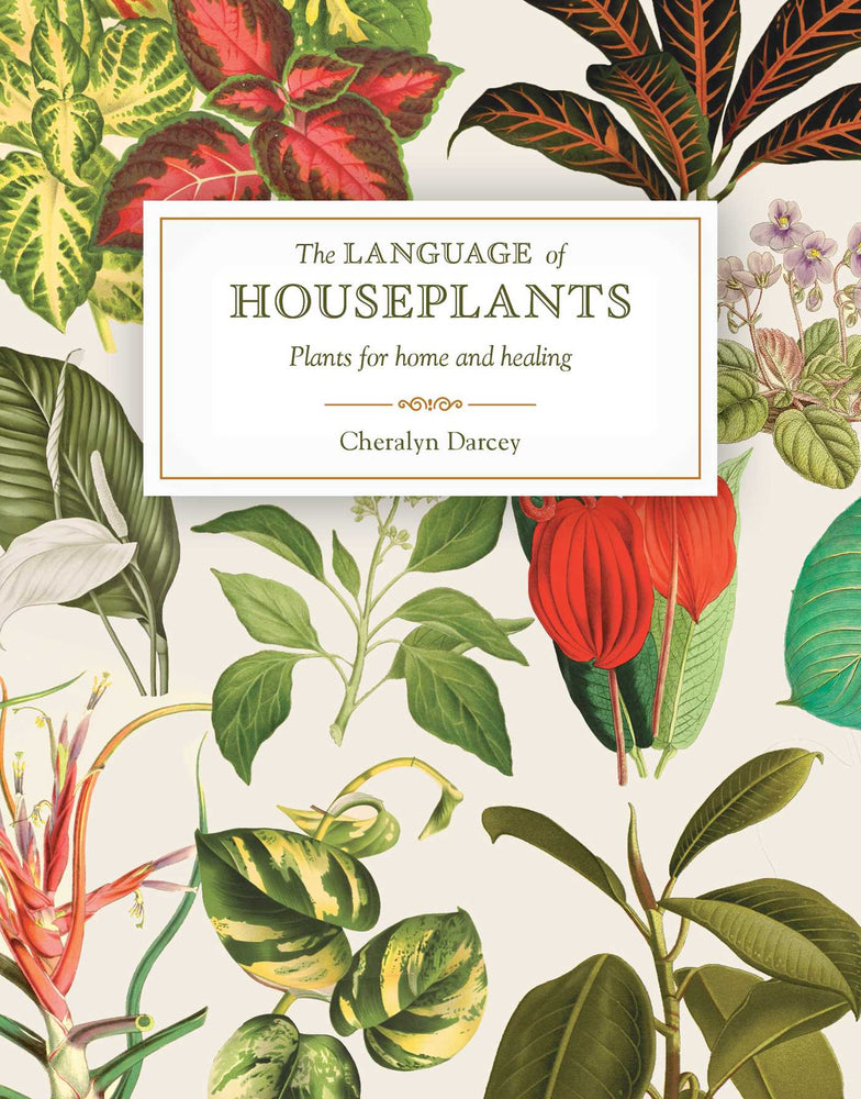 The Language of Houseplants: Plants for home and healing - Books - Image - Pop Weasel