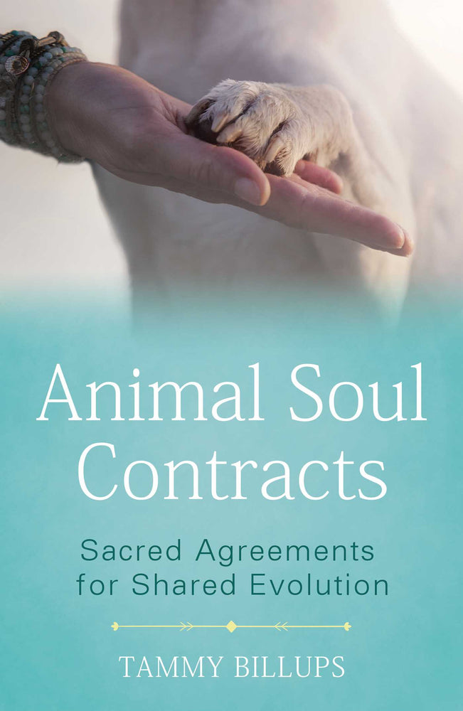 Animal Soul Contracts: Sacred Agreements for Shared Evolution - Books - Image - Pop Weasel