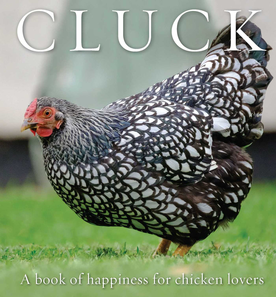 Cluck: A Book Of Happiness For Chicken Lovers - Books - Image - Pop Weasel