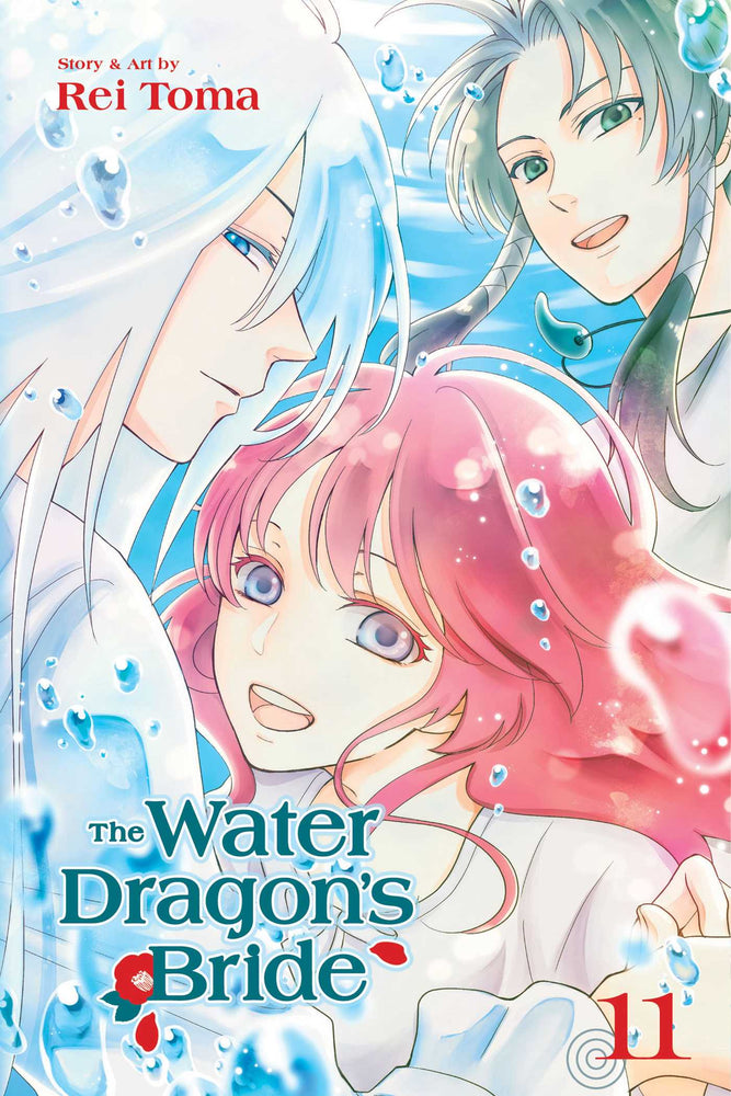 The Water Dragon's Bride, Vol. 11 - Manga - Image - Pop Weasel