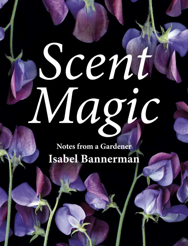 Scent Magic - Books - Image - Pop Weasel