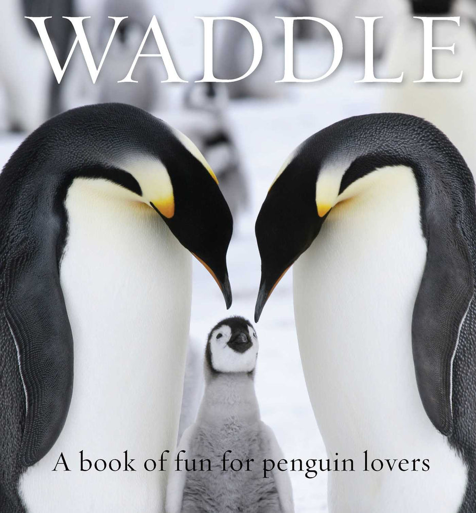 Waddle: A Book Of Fun For Penguin Lovers - Books - Image - Pop Weasel