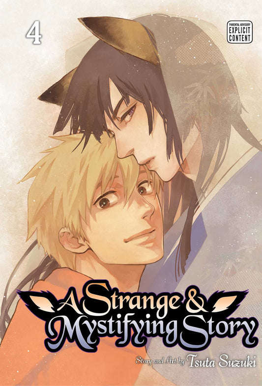 Strange & Mystifying Story, Vol. 4