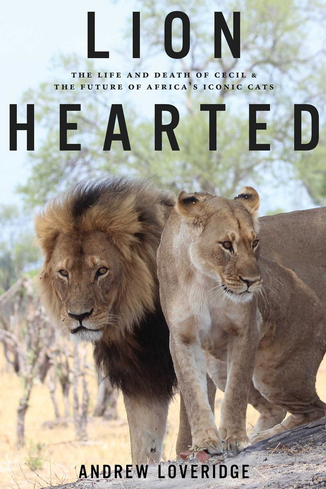 Lion Hearted: The Life and Death of Cecil & the Future of Africa's Iconic Cats - Books - Image - Pop Weasel