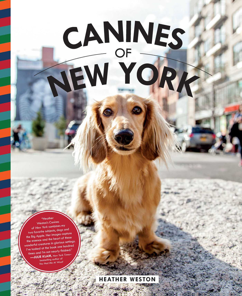 Canines of New York - Books - Image - Pop Weasel