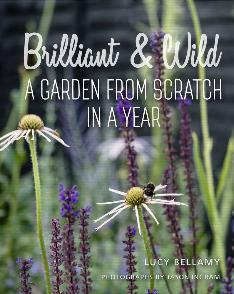 Brilliant and Wild - Books - Image - Pop Weasel