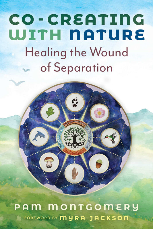 Co-Creating with Nature Healing the Wound of Separation image