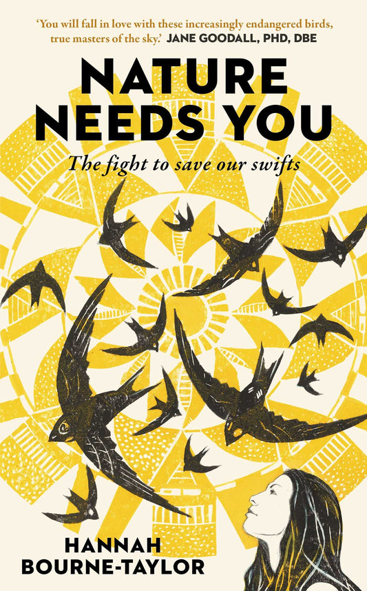 Nature Needs You The Fight to Save Our Swifts image