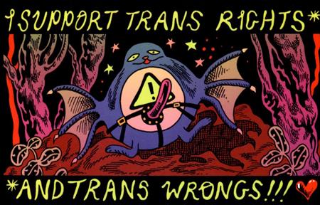 Boy Island I Support Trans Rights And Trans Wrongs Sticker - Image
