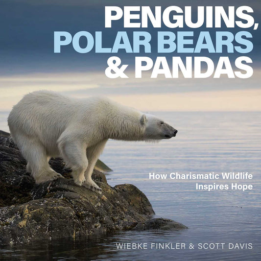 Penguins, Polar Bears & Pandas: How Charismatic Wildlife Inspires Hope