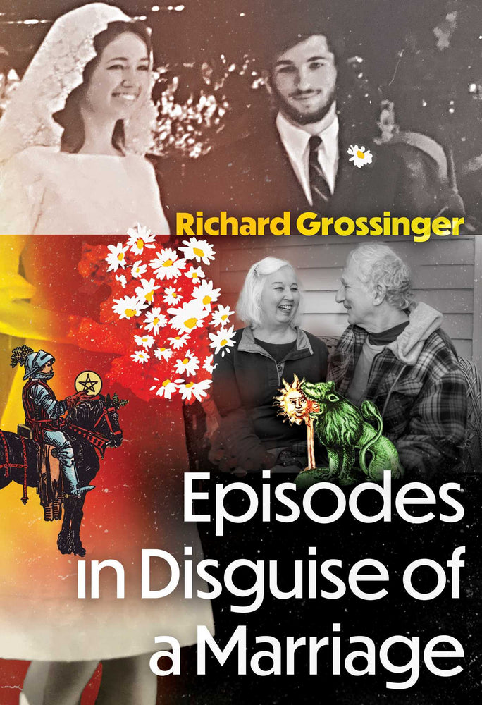 Episodes in Disguise of a Marriage - Books - Image - Pop Weasel