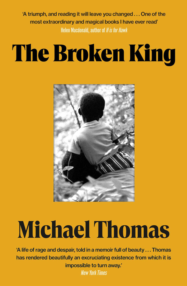 The Broken King: 'An Extraordinary Read' Guardian - Books - Image - Pop Weasel