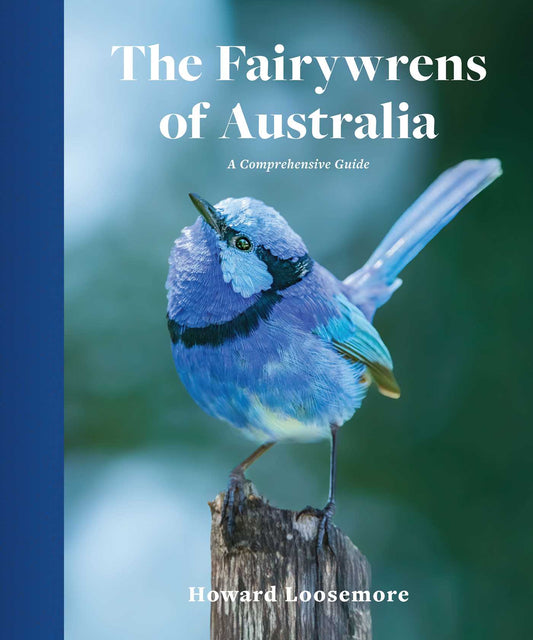 The Fairywrens of Australia: A Comprehensive Guide