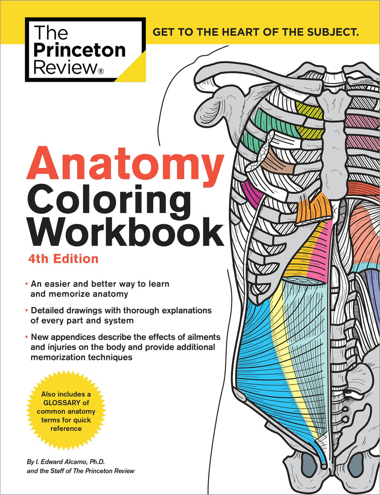 Anatomy Coloring Workbook, 4th Edition | TPB - Graphic Novels - Image - Pop Weasel