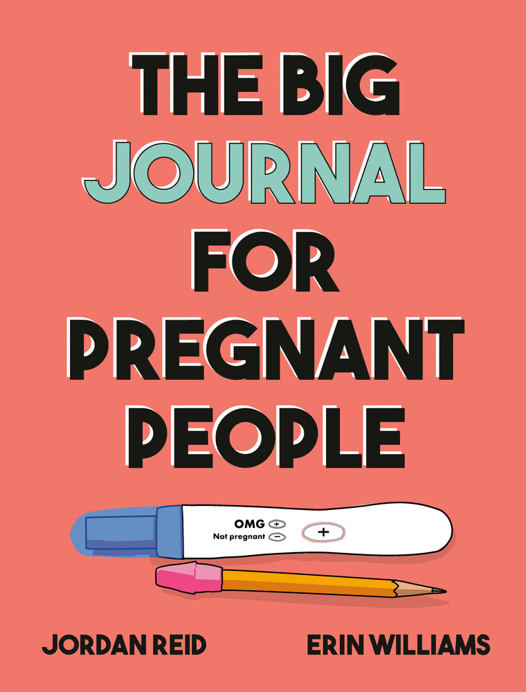 The Big Journal for Pregnant People | TPB - Graphic Novels - Image - Pop Weasel