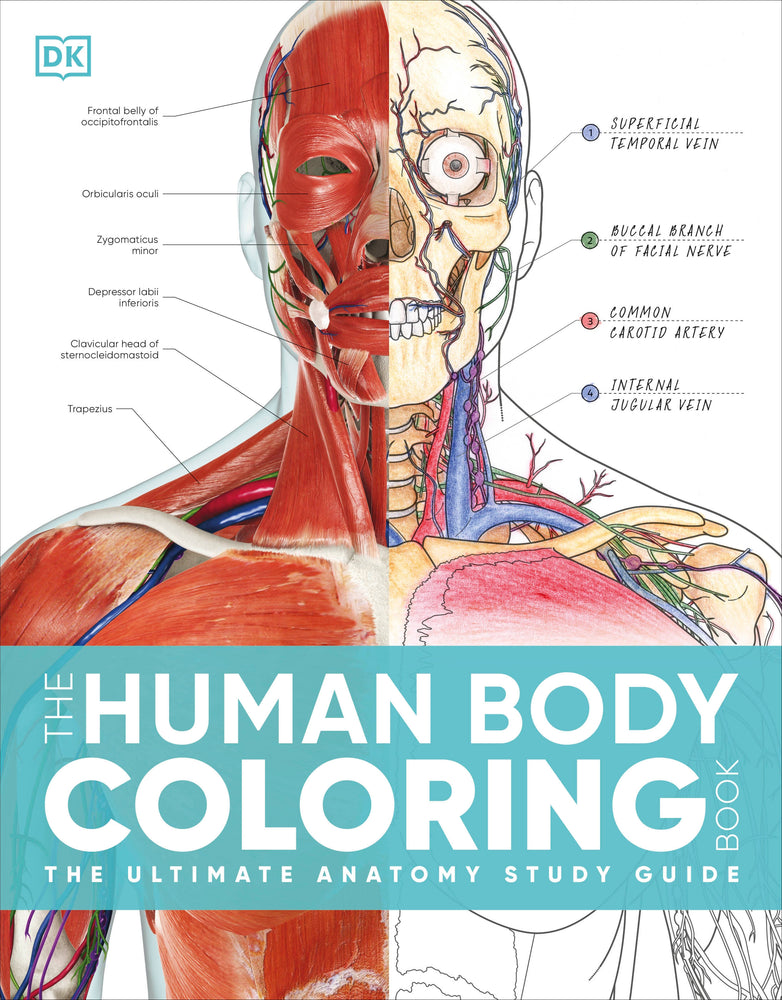 The Human Body Coloring Book | TPB - Graphic Novels - Image - Pop Weasel