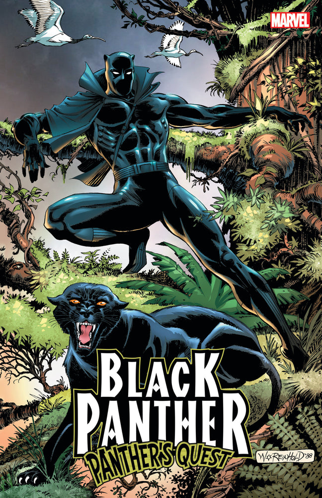 Black Panther: Panther's Quest | TPB - Graphic Novels - Image - Pop Weasel