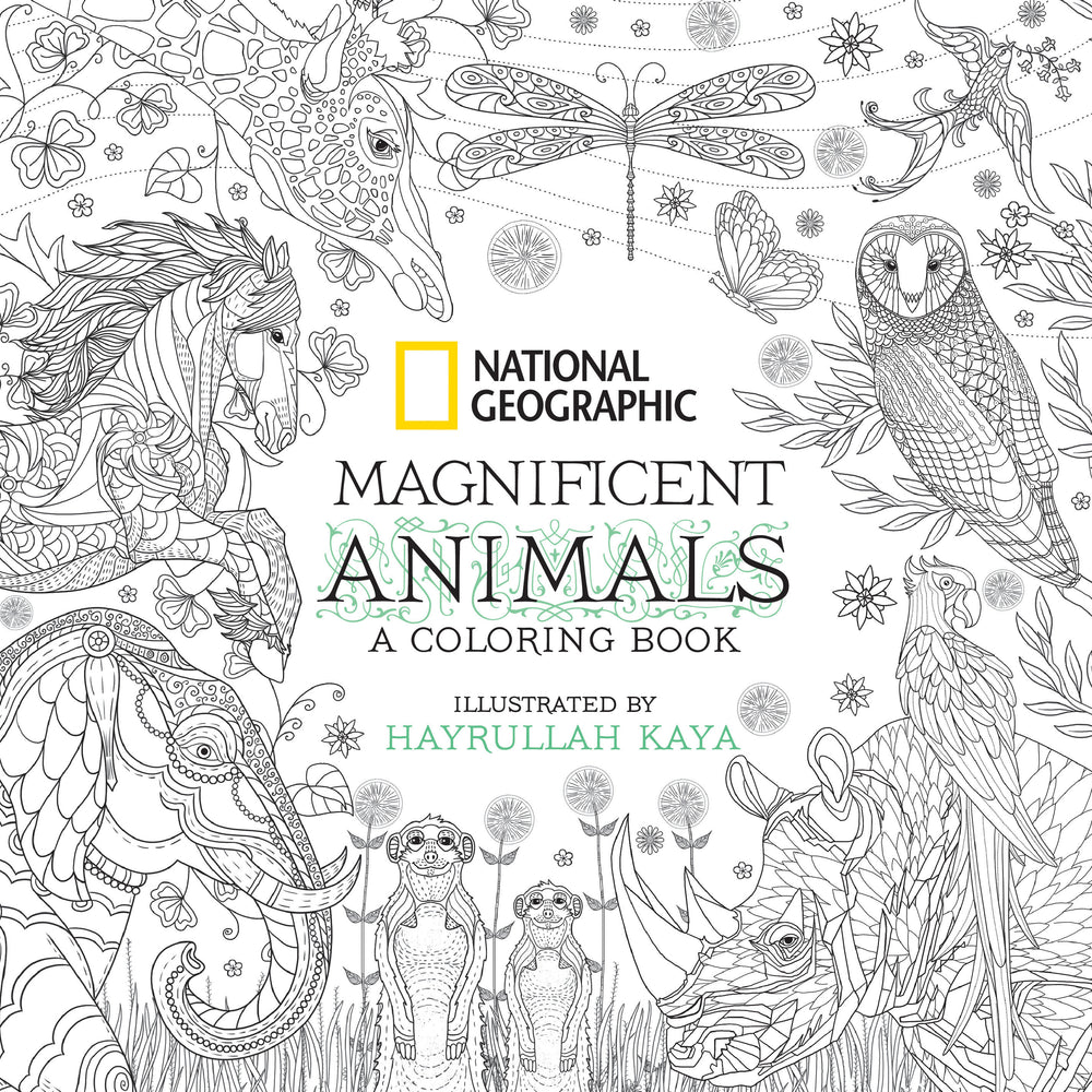 National Geographic Magnificent Animals | TPB - Graphic Novels - Image - Pop Weasel