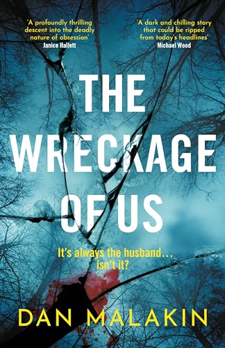 The Wreckage of Us - Hard Cover - Books - Image - Pop Weasel