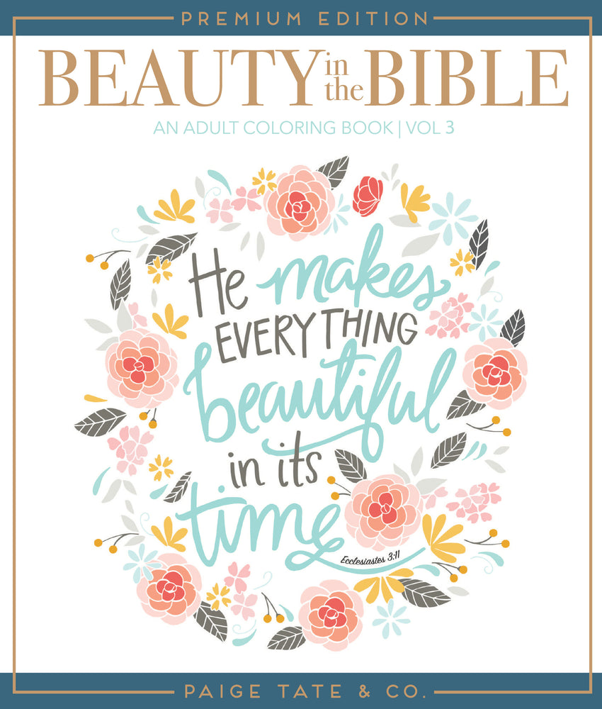 Beauty in the Bible image - Graphic Novels - Image - Pop Weasel