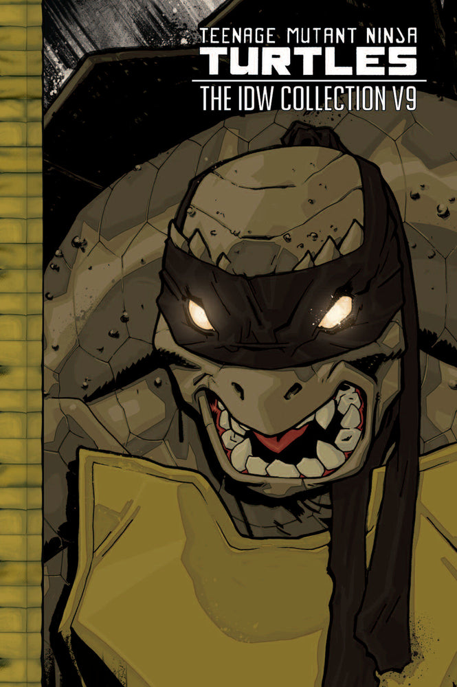 Teenage Mutant Ninja Turtles: The IDW Collection Volume 9 - Graphic Novels - Image - Pop Weasel