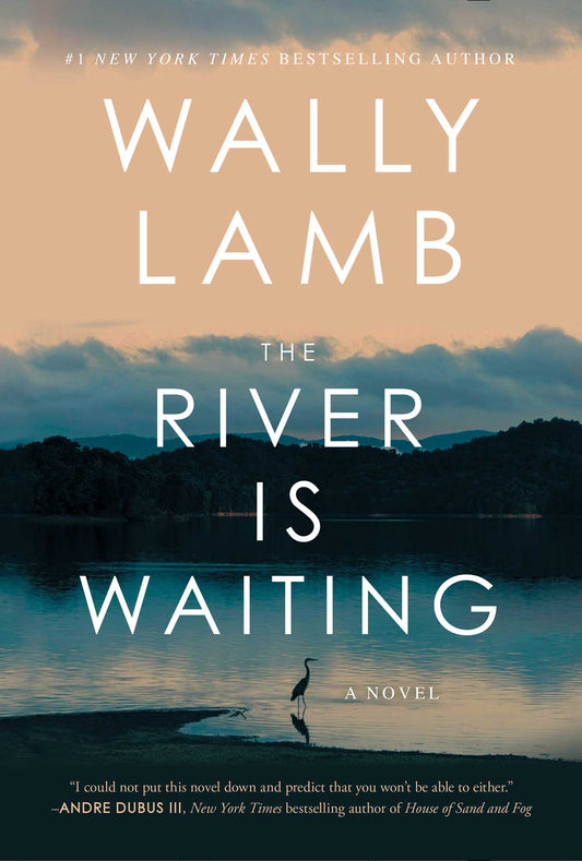 The River Is Waiting A Novel image