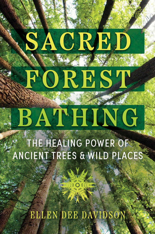 Sacred Forest Bathing The Healing Power of Ancient Trees and Wild Places image