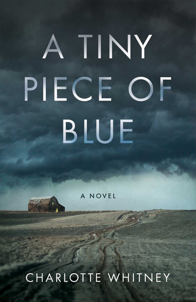 A Tiny Piece of Blue A Novel image - Books - Image - Pop Weasel