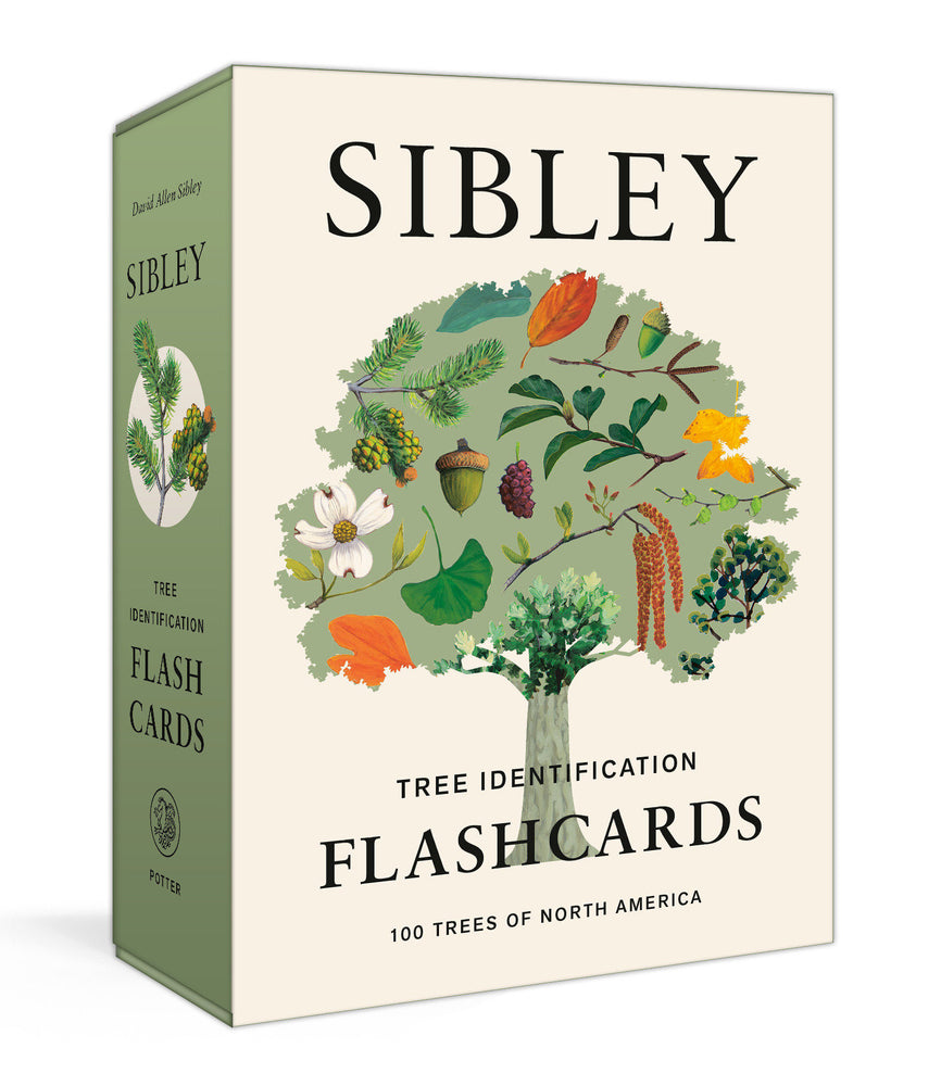 Sibley Tree Identification Flashcards image - Cards - Image - Pop Weasel