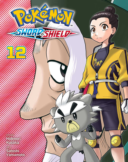 Pokémon: Sword & Shield, Vol. 12 image