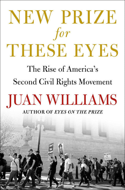 New Prize for These Eyes The Rise of America's Second Civil Rights Movement image
