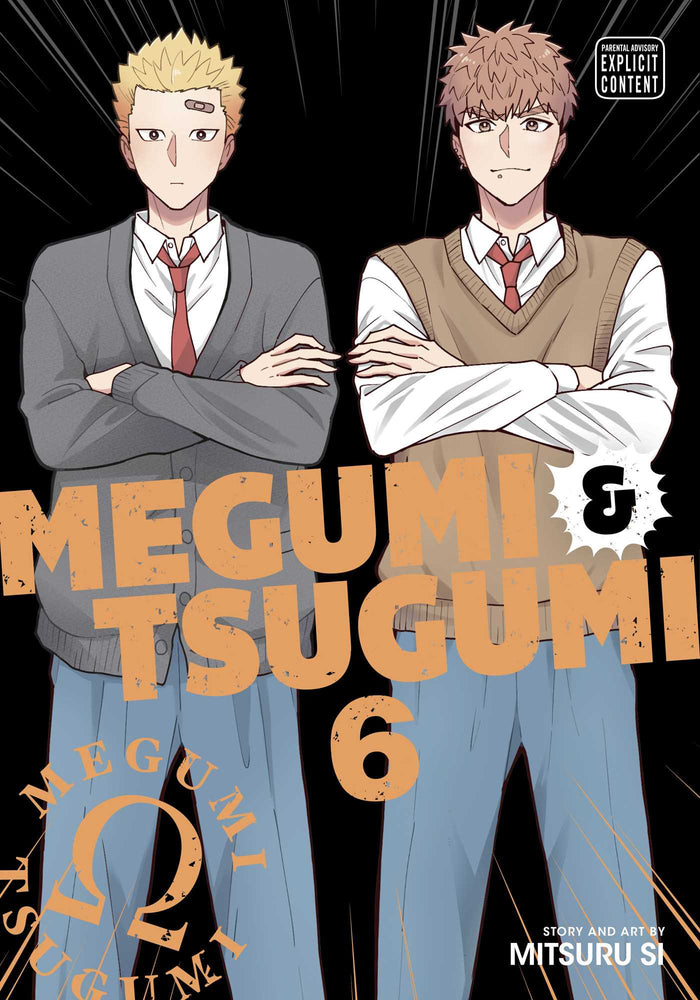 Megumi & Tsugumi, Vol. 6 image - Manga - Image - Pop Weasel