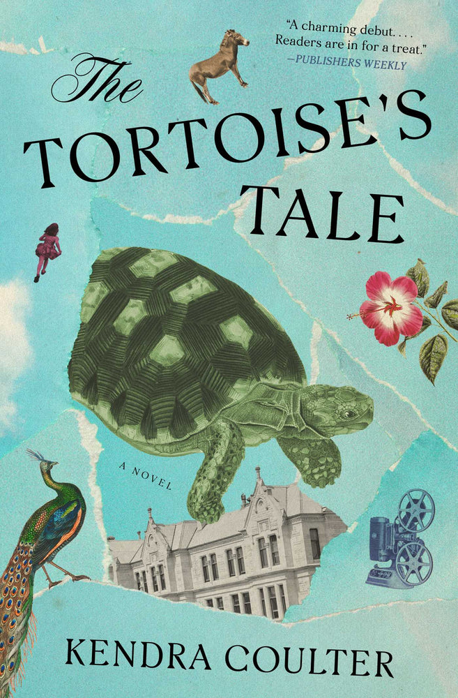 The Tortoise's Tale: A Novel - Books - Image - Pop Weasel