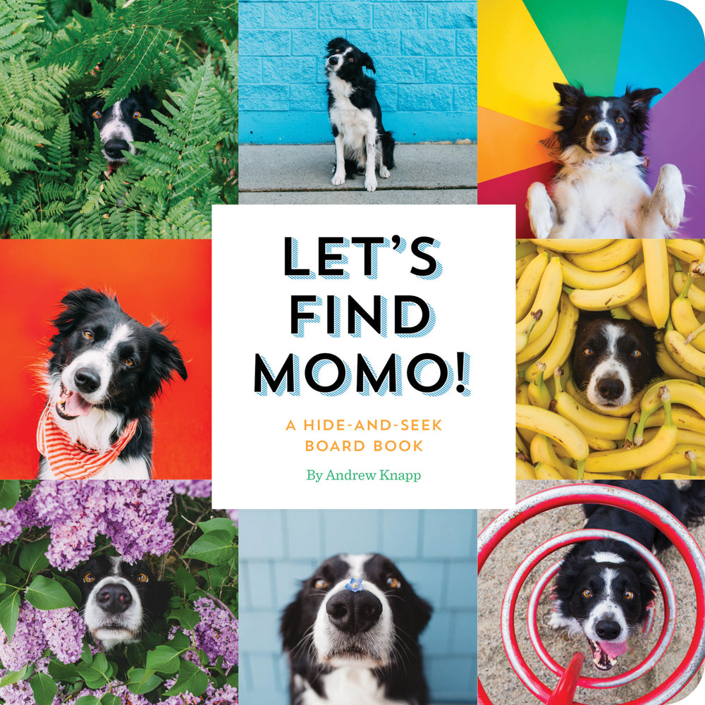 Let's Find Momo! image - Childrens Books - Image - Pop Weasel