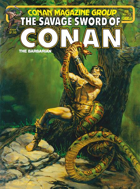 Savage Sword Of Conan The Original Comics Omnibus  | Hardcover Vol 06 Direct Market Edition Joe Chiodo - Image - Graphic Novels - Image - Pop Weasel