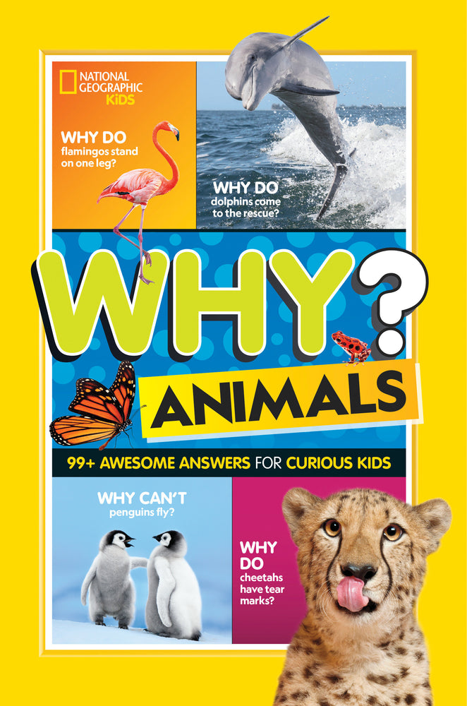 Why? Animals | Hardcover image - Children/Young Adult - Image - Pop Weasel