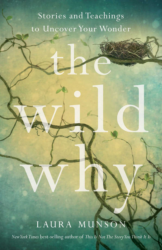 The Wild Why Stories and Teachings to Uncover Your Wonder image
