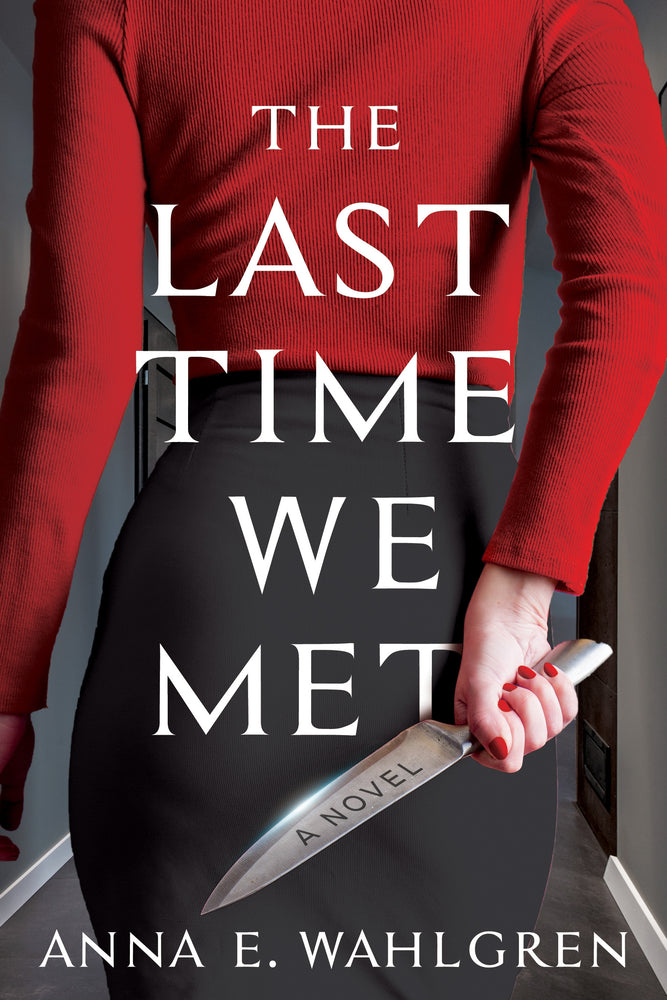 The Last Time We Met A Novel - Hard Cover - Books - Image - Pop Weasel