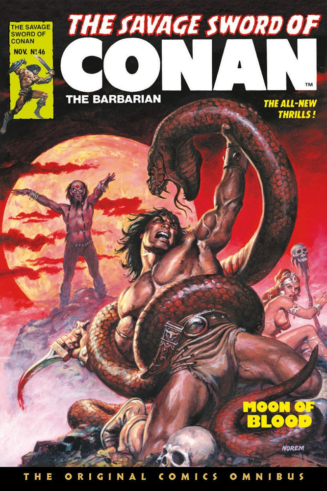 The Savage Sword of Conan The Original Comics Omnibus Vol.4 - Hard Cover - Graphic Novels - Image - Pop Weasel