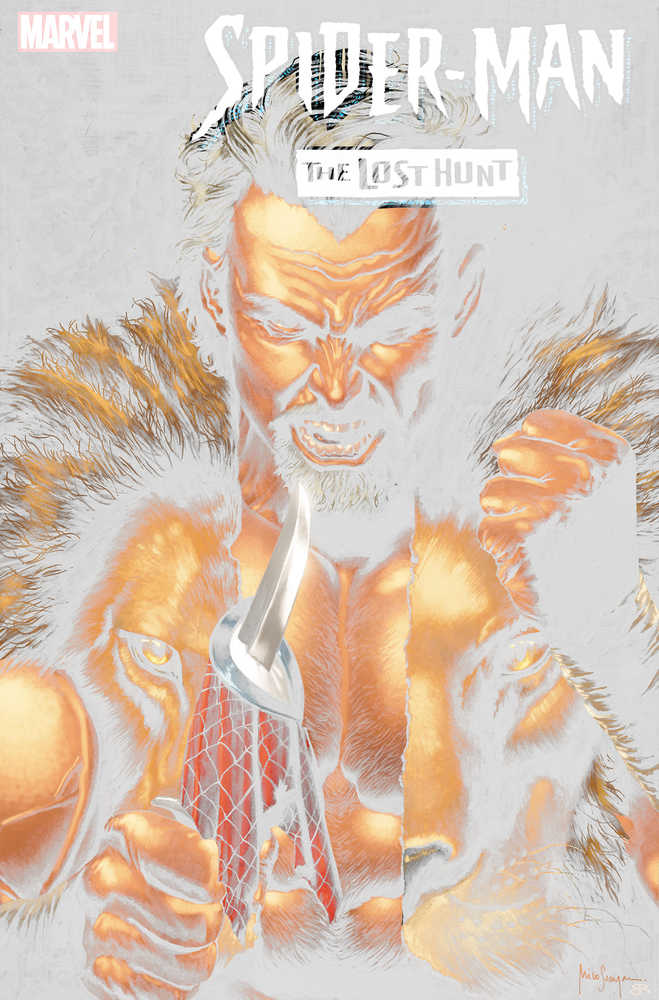 Spider-Man Lost Hunt - Comics - Image - Pop Weasel